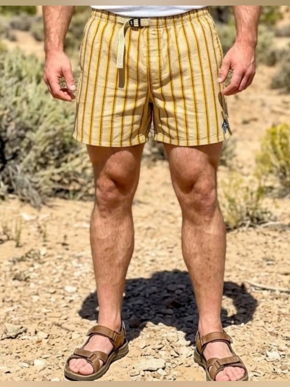 Men's Prana Shorts size XXL Indio Heritage Hybrid Yarrow Striped 5' inseam NWT